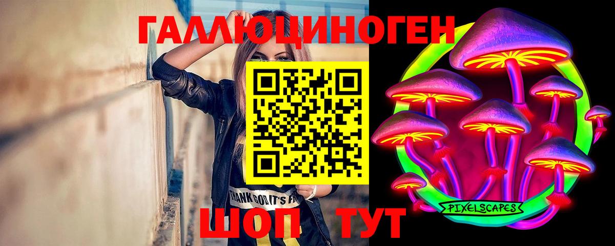 Галлюциногенные грибы Psilocybe Северобайкальск