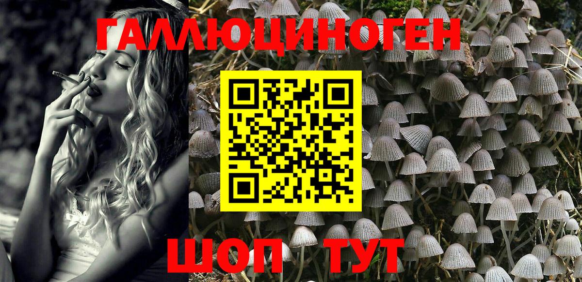 Галлюциногенные грибы Psilocybine cubensis  Вход с VPN  Северобайкальск 